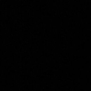 Meet your Posher, Tia